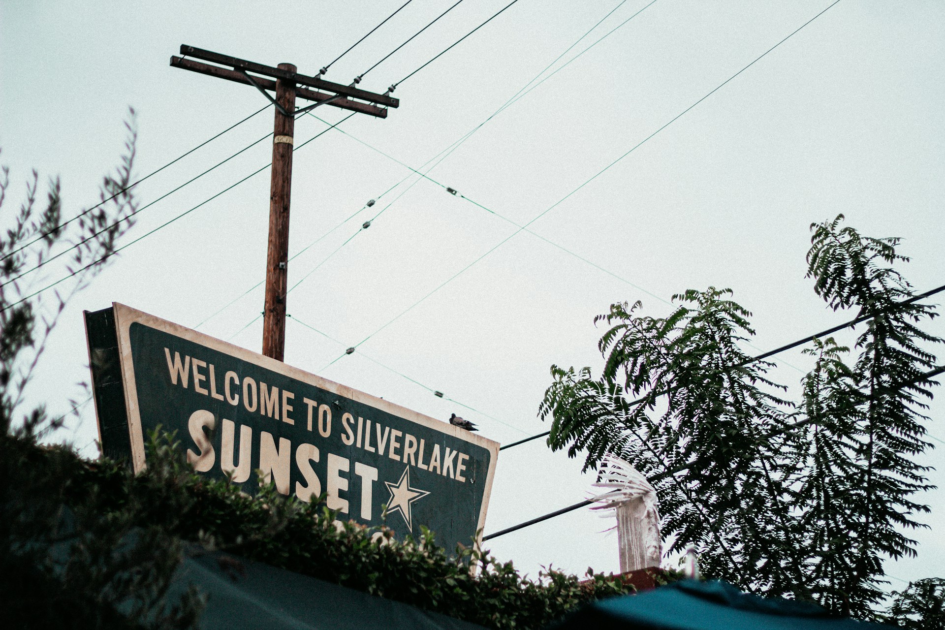 Welcome to Silverlake Sunset sign among trees and power lines in Los Angeles.